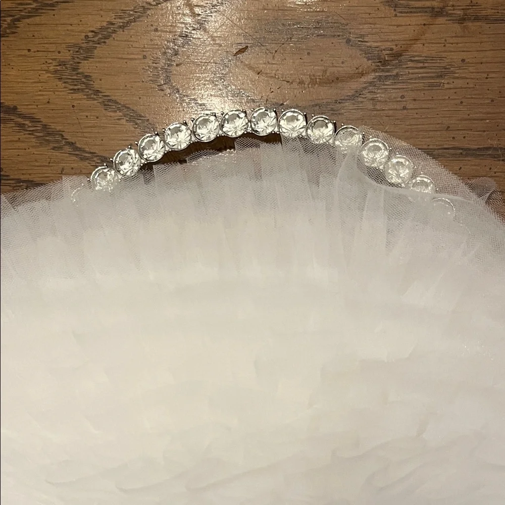 Jewel Badgley Mischka‎ Jazzie Tulle Layered Ruffle Pouch Clutch, NWT